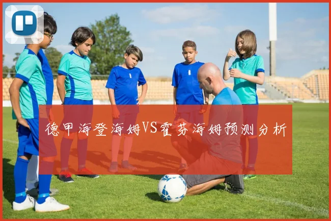 德甲海登海姆VS霍芬海姆预测分析