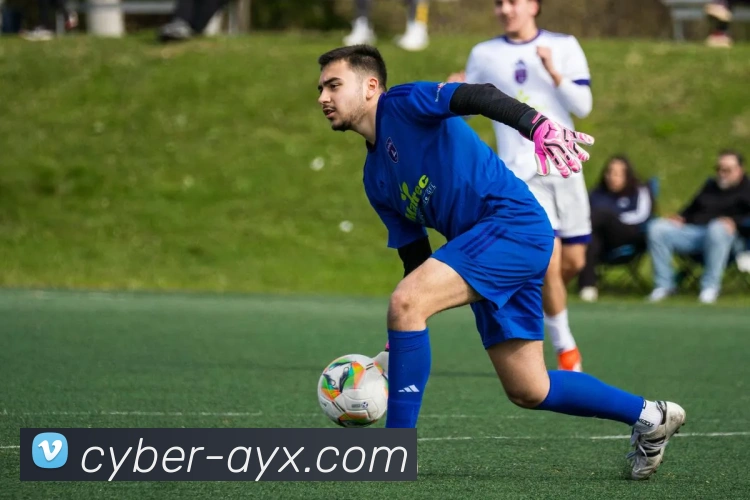 爱游戏平台生态图